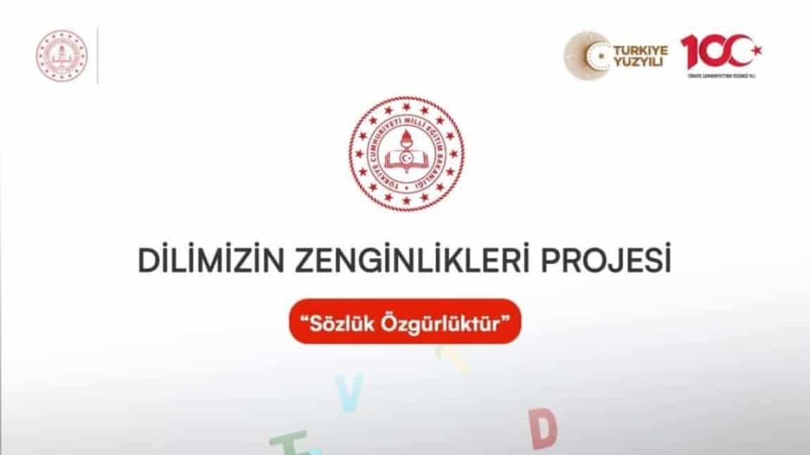 Proje Tanımı